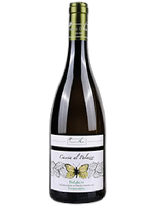 Tenuta di Vaira Bolgheri DOC Vermentino Caccia al Palazzo Tenuta di Vaira 2025