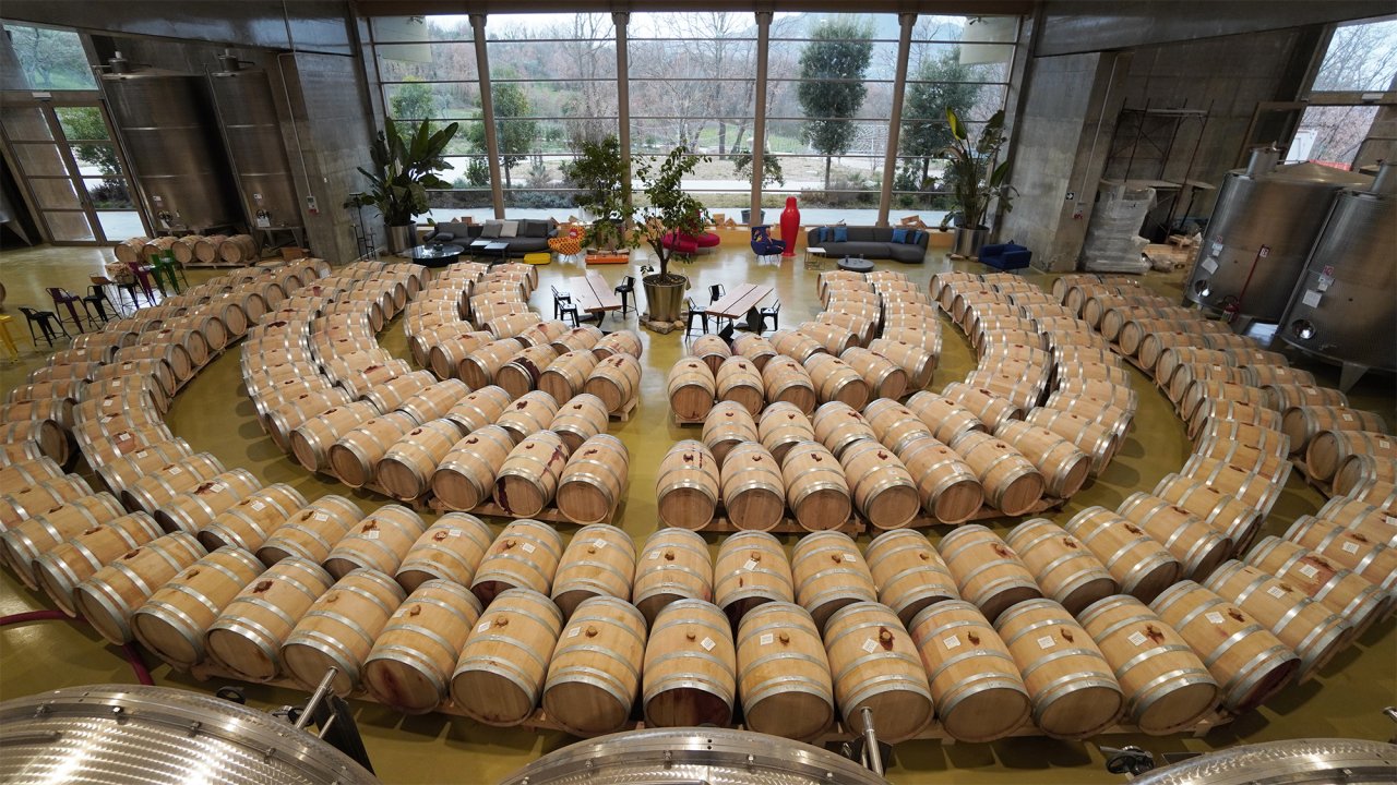 The semicircular barrel cellar of Nativ's San Quirico winery, with barrels in curved rows under a glass wall
