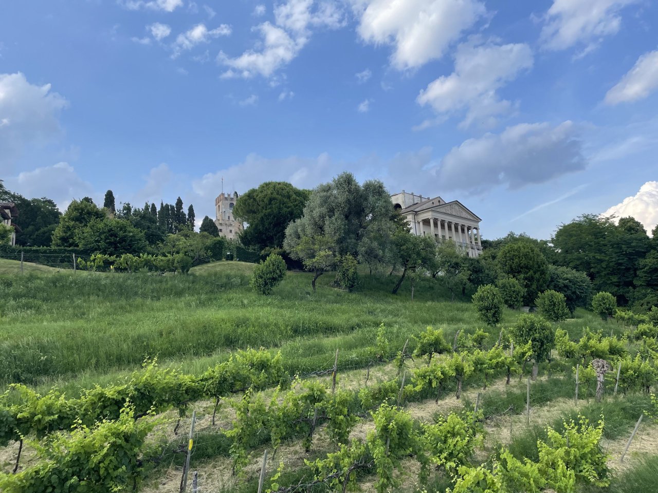 Bottega winery image 4
