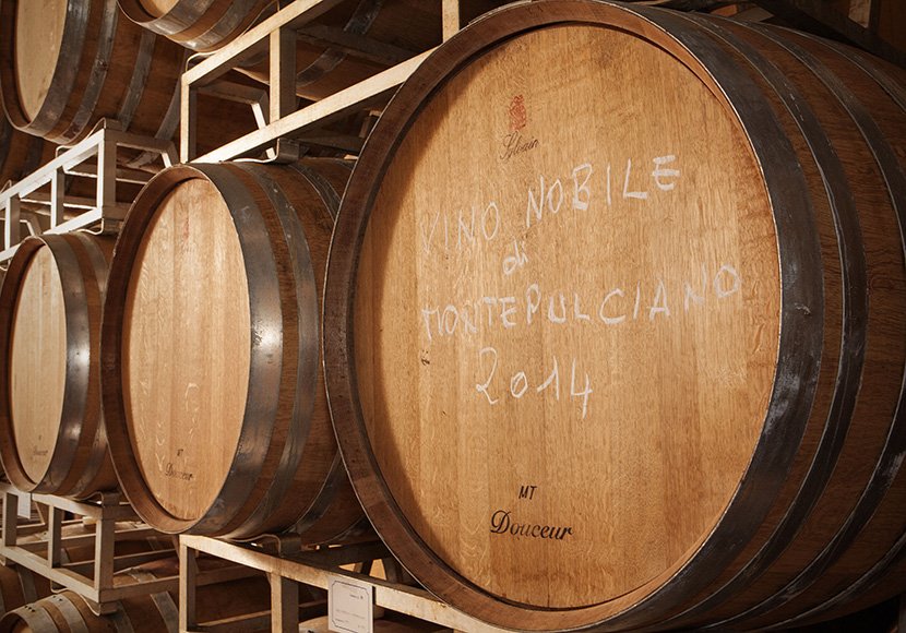 Guided cellar visit at Azienda Agricola Canneto