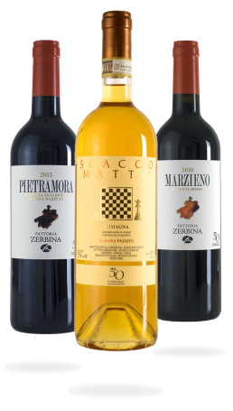 Fattoria Zerbina winery image 4