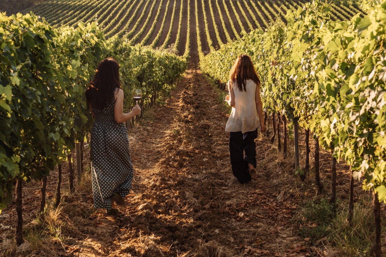 Bindi Sergardi winery image 3