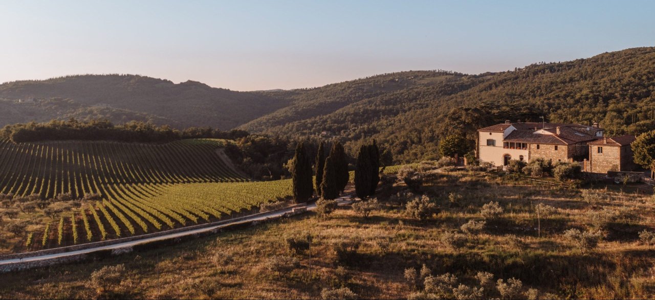 Bindi Sergardi winery image 1