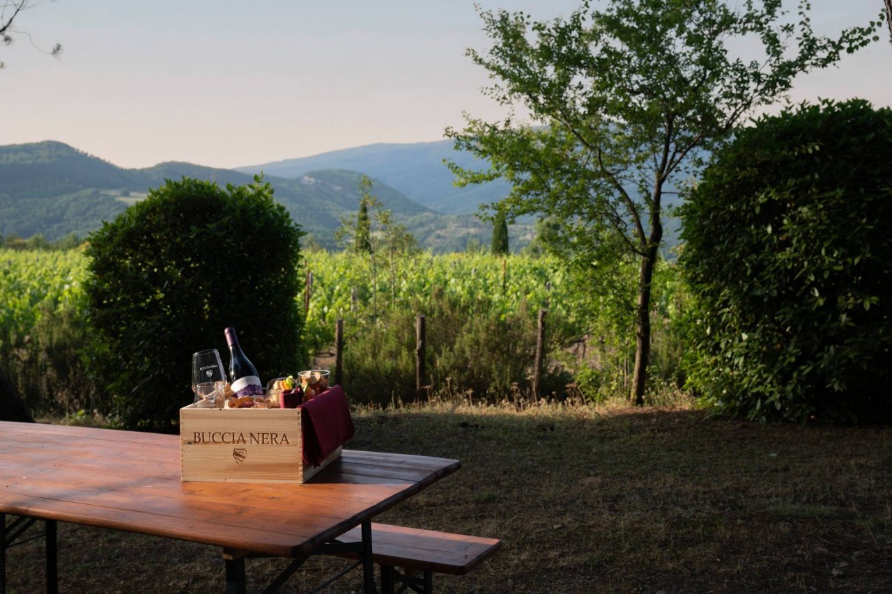 Picnic overlooking the vineyards! at Buccia Nera