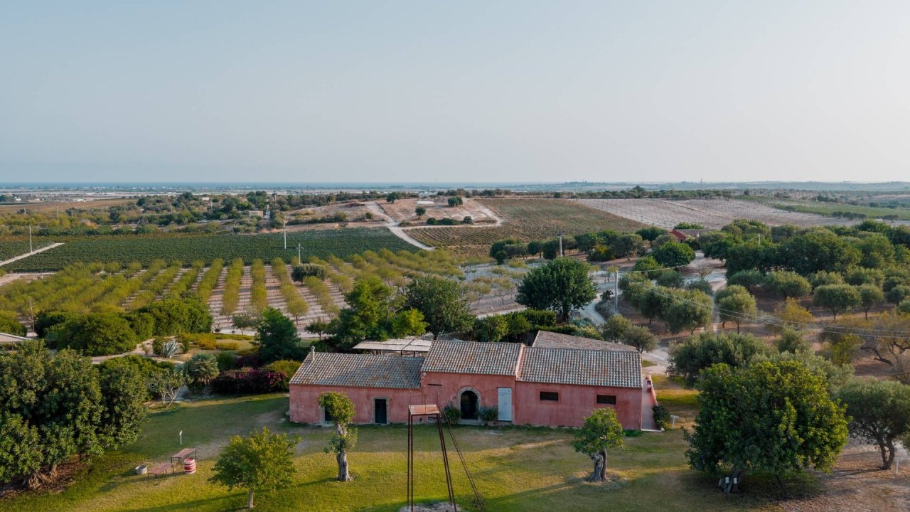 Journey through DOC Noto at Buonivini at Planeta