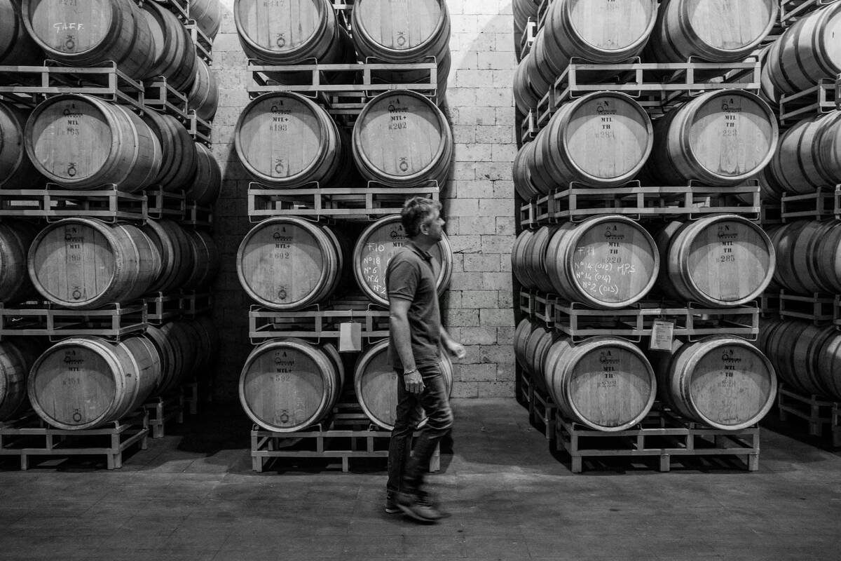 Guided cellar visit at Bigi