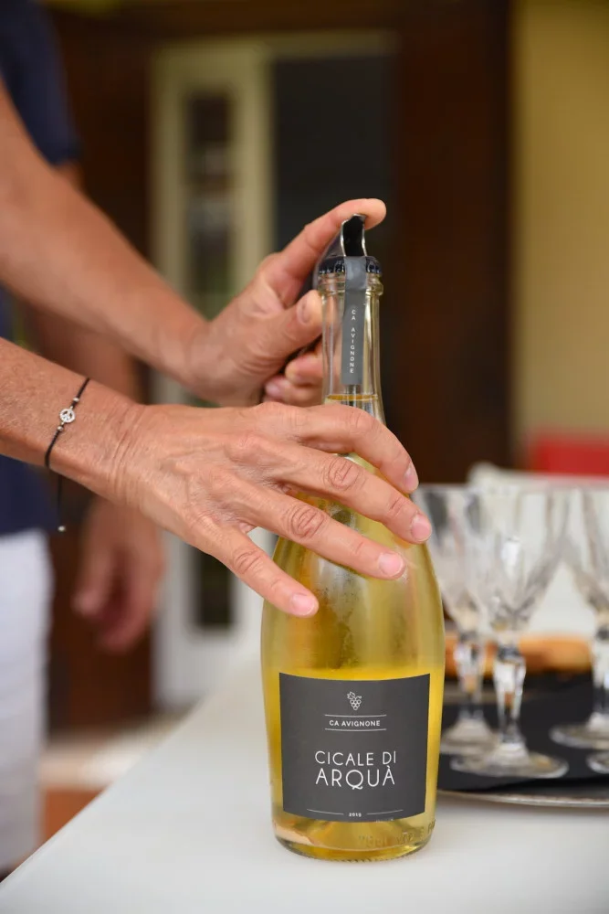 Wine tasting experience at Ca Avignone in the Euganean Hills at Ca&rsquo; Avignone