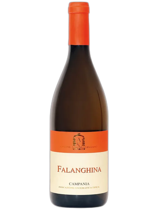 Campania Falanghina IGT Caggiano