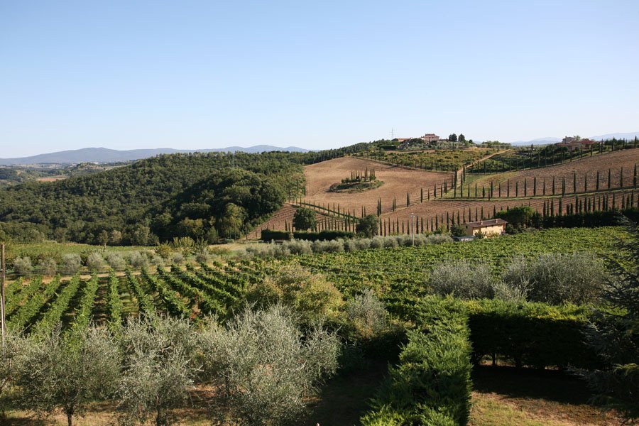 Campochiarenti winery image 2