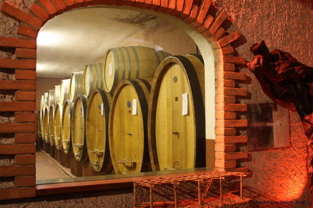 Cave Cooperatives de Donnas winery image 4