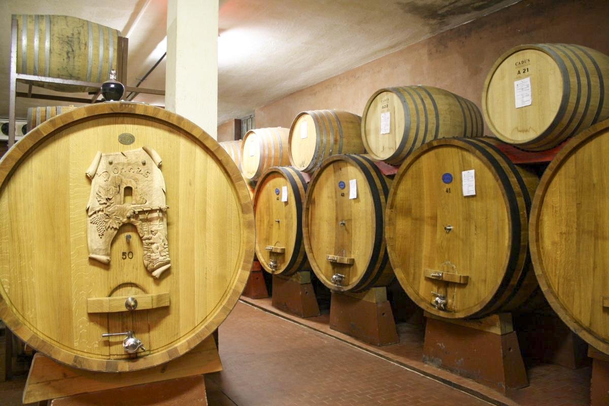 Cave Cooperatives de Donnas winery image 2