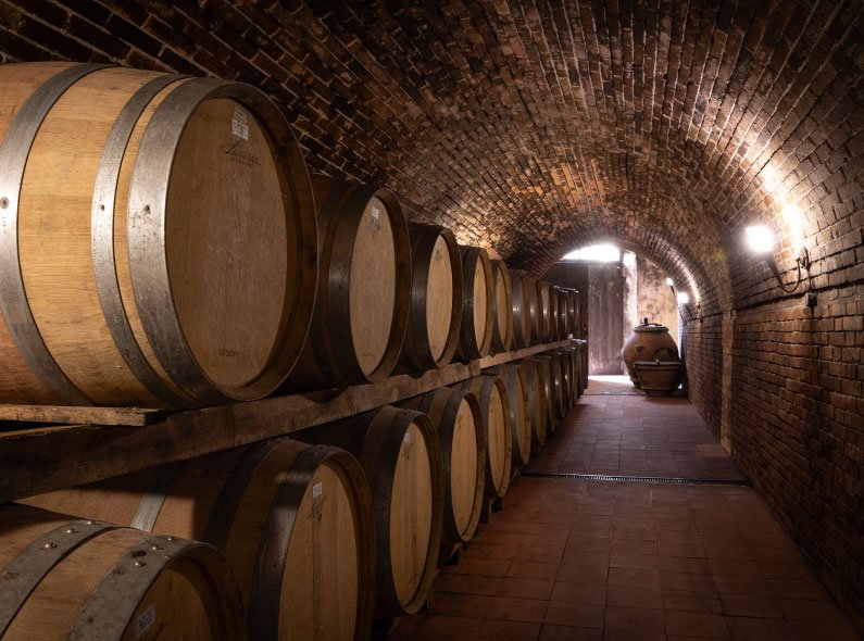 Castello di Monterinaldi winery image 2