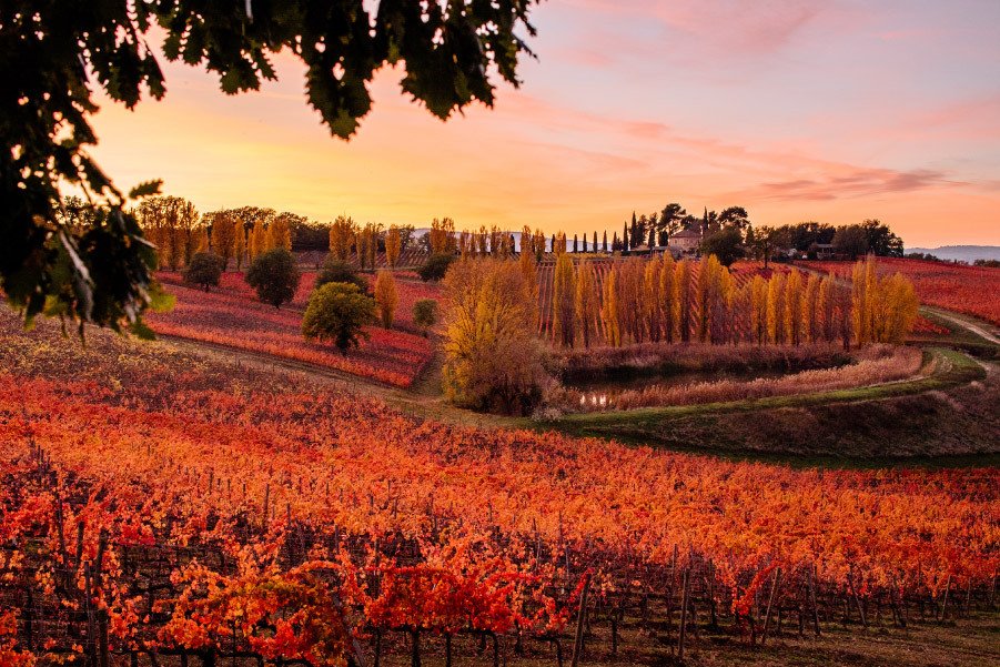 Arnaldo Caprai winery image 2