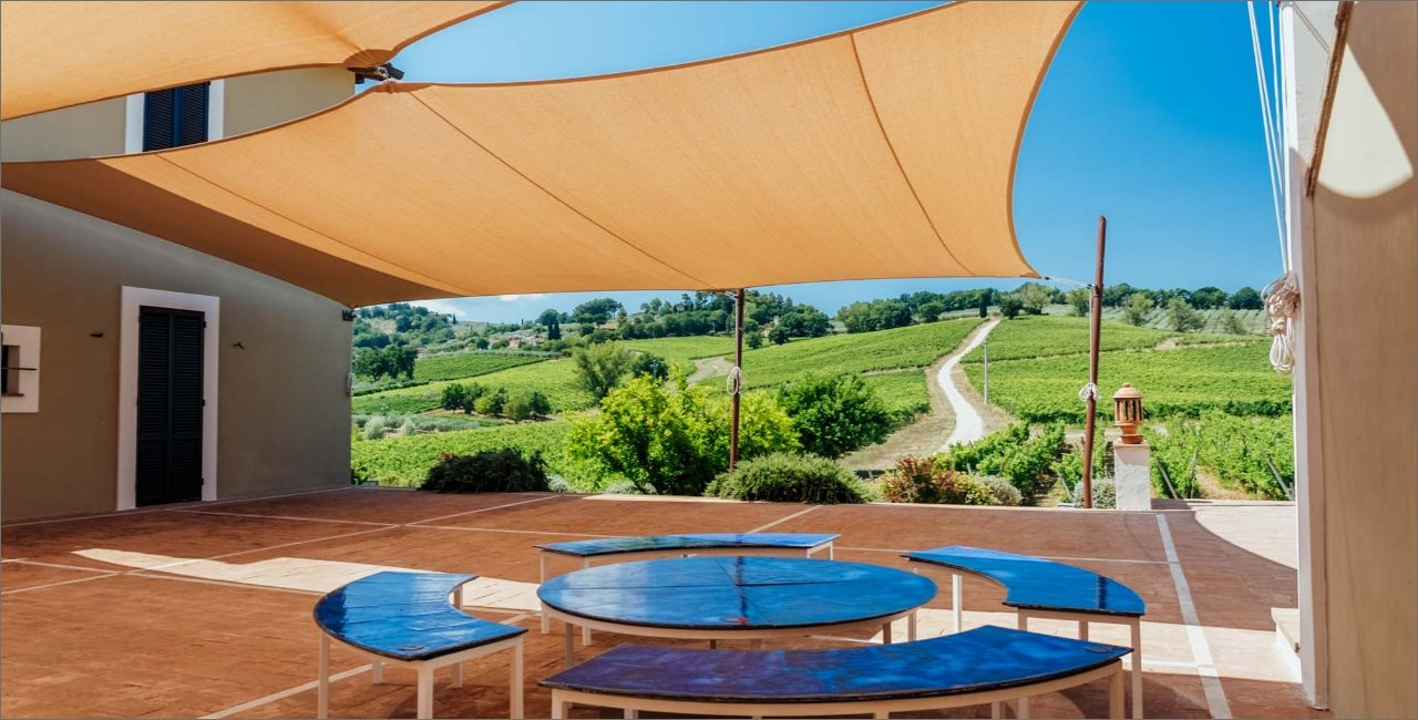 Tour & Food at Arnaldo Caprai