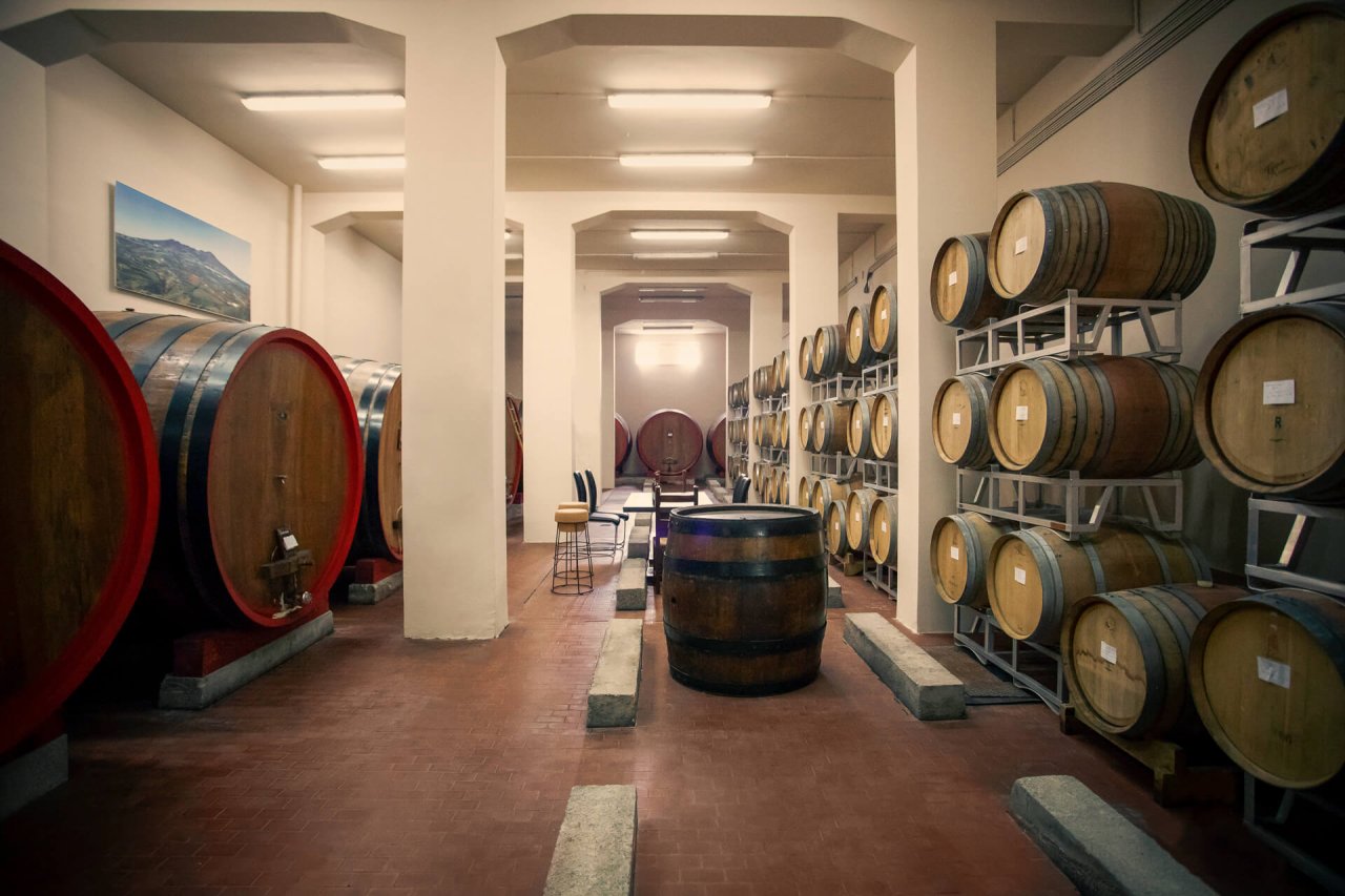 Casa Vinicola D&rsquo;angelo winery image 2