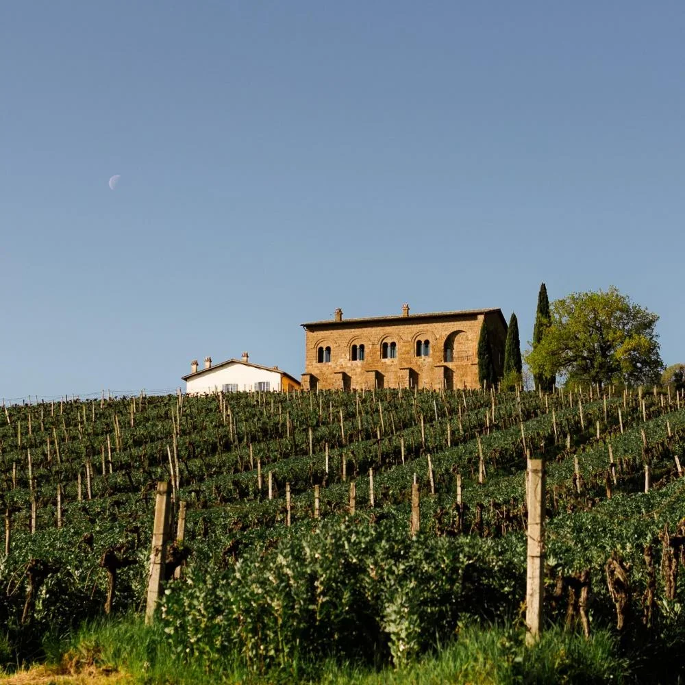 Musco: The Etuscan Cave Wine with Lunch at Palazzone at Azienda Agricola Palazzone