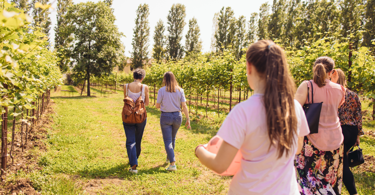 Bio Tour Selection at Azienda Agricola Pizzolato
