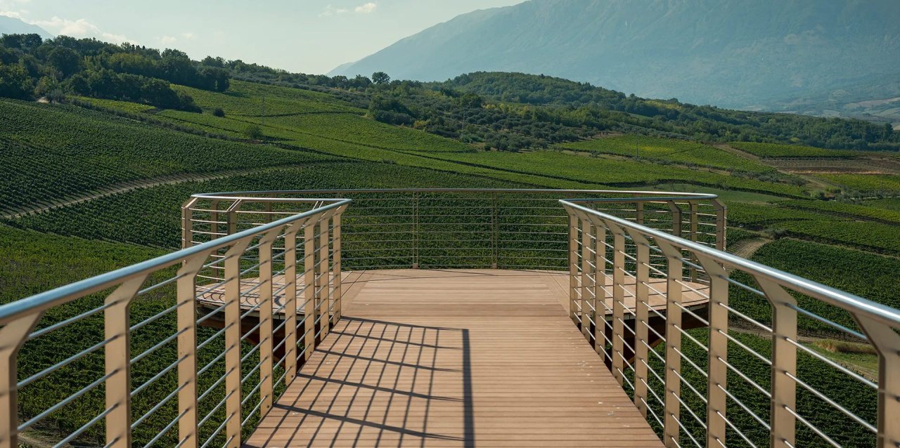 Estate, vineyards and contemporary art tour at Azienda Agricola Ciccio Zaccagnini