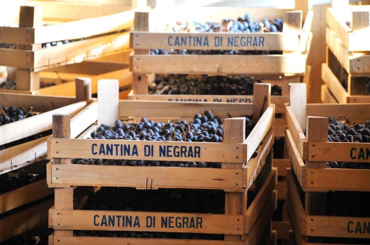 Cantina Valpolicella Negrar winery image 2