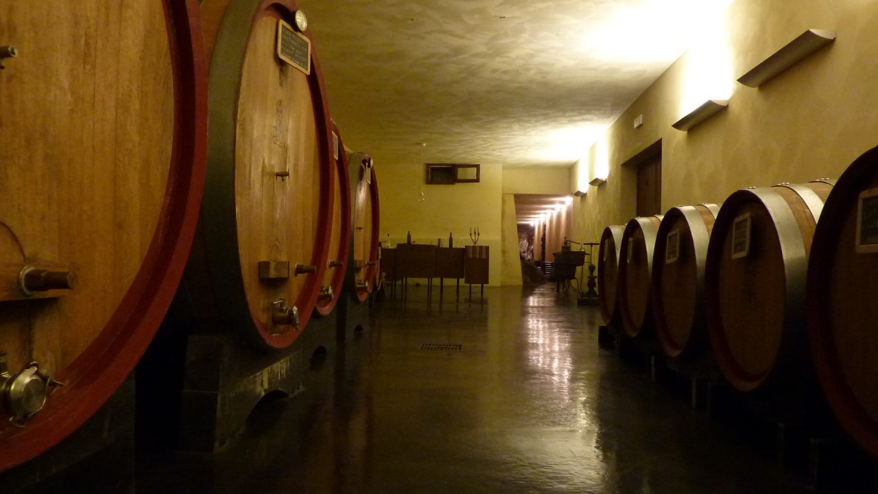 Large oak casks lining a long ageing cellar at Cantine Zanchi