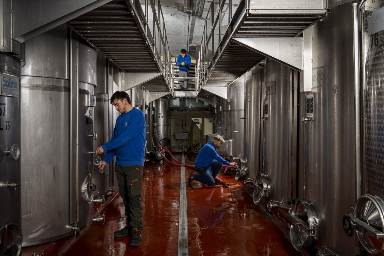 Cellar workers at the steel tanks in the Palagetto winery, with one more on the walkway above