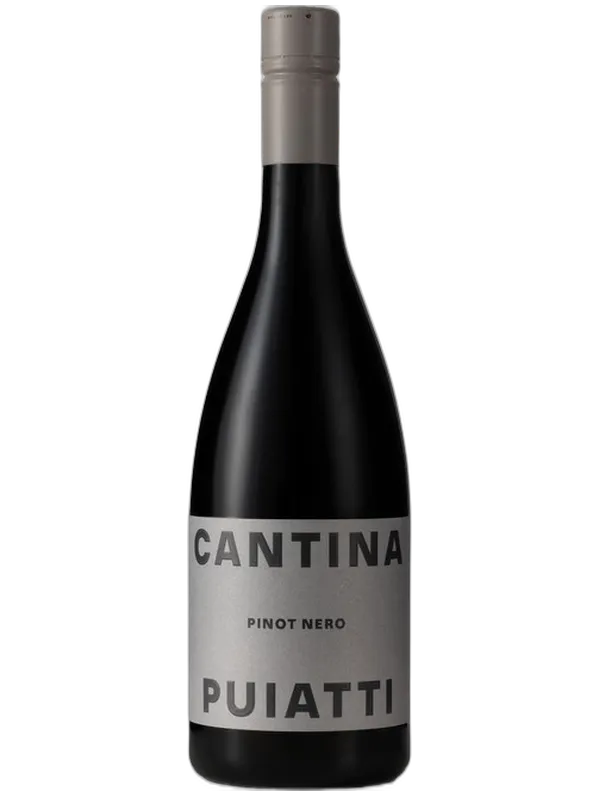 Cantina Cantina Pinot Nero 2024