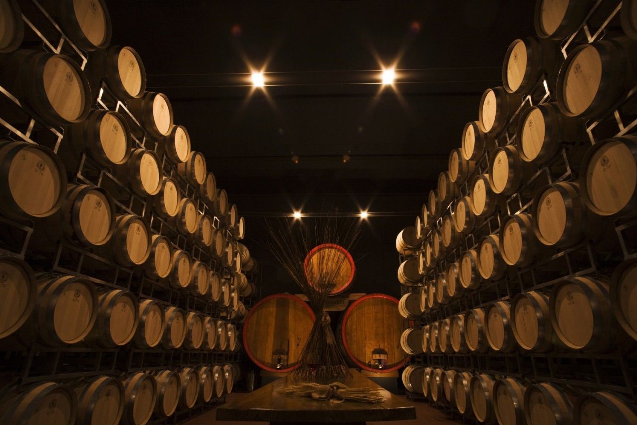 Rows of oak barrels in Firriato's barrel cellar