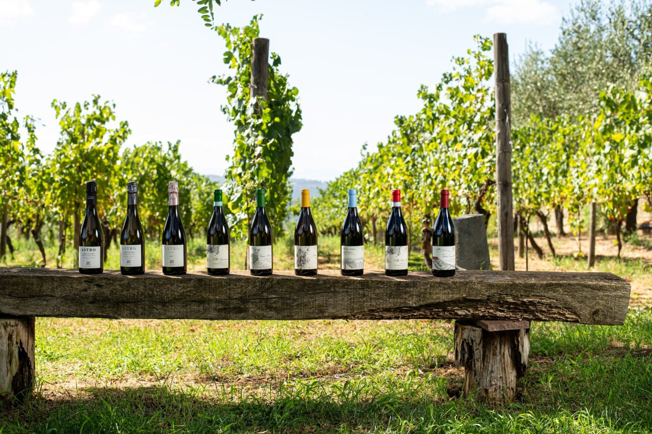 A row of Cantine degli Astroni bottles on a wooden bench in the vineyard