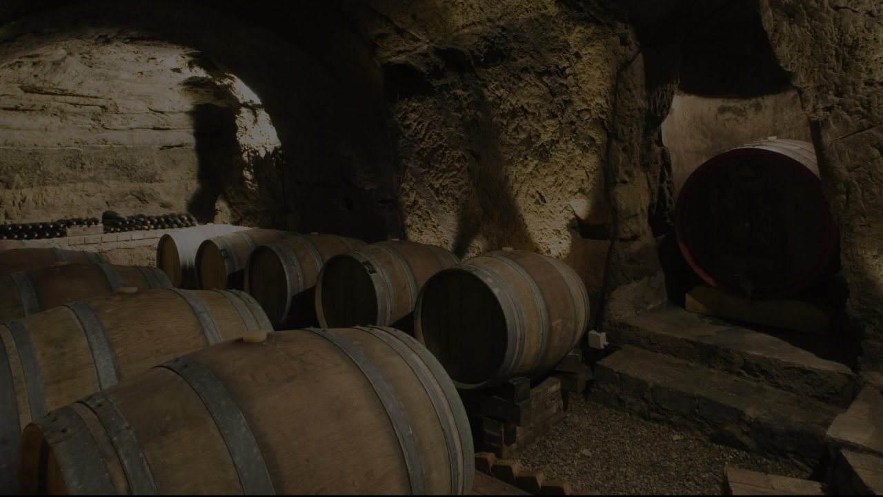 Cantine del Notaio winery image 4