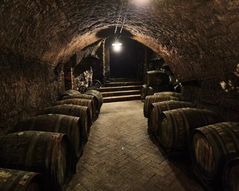 The emotional journey - Wine Tasting at Cantine del Notaio at Cantine del Notaio