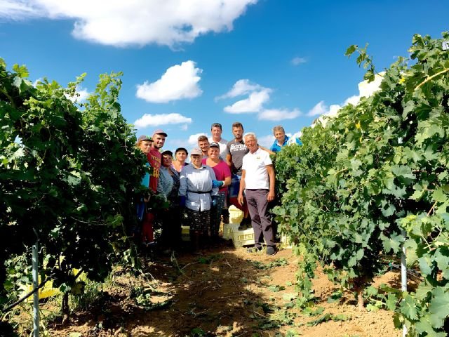 Cantine Due Palme winery image 5