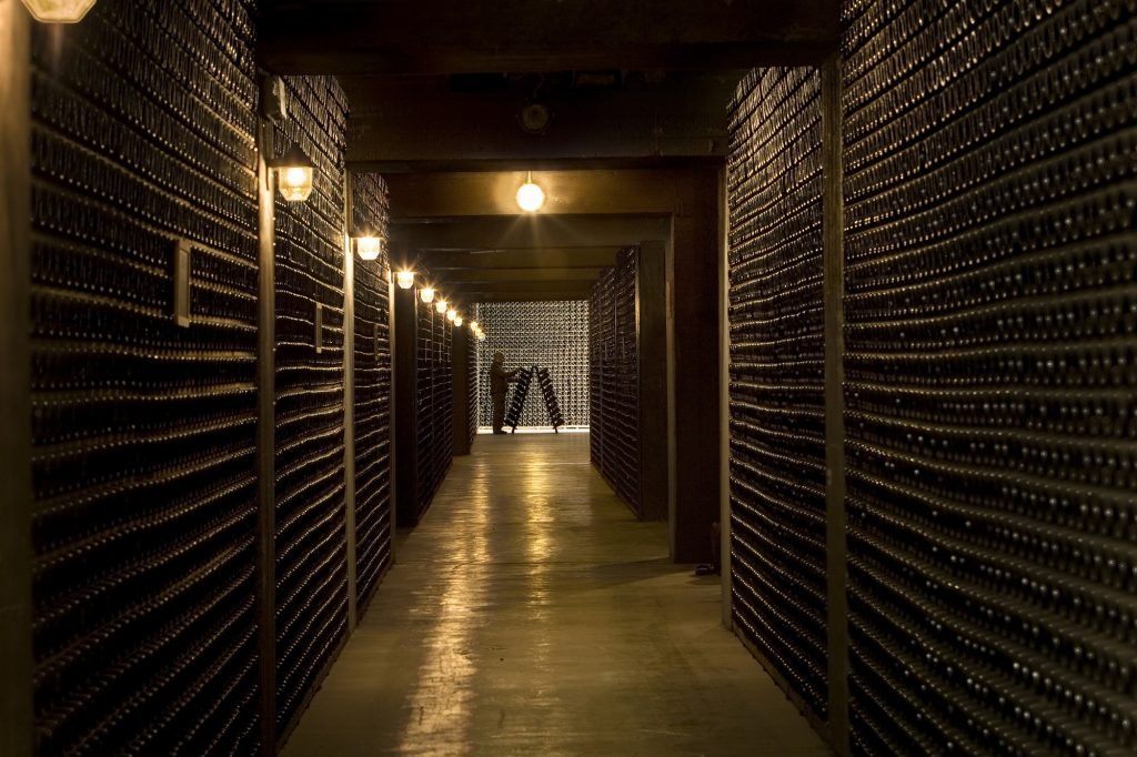 Cantine Ferrari winery image 2