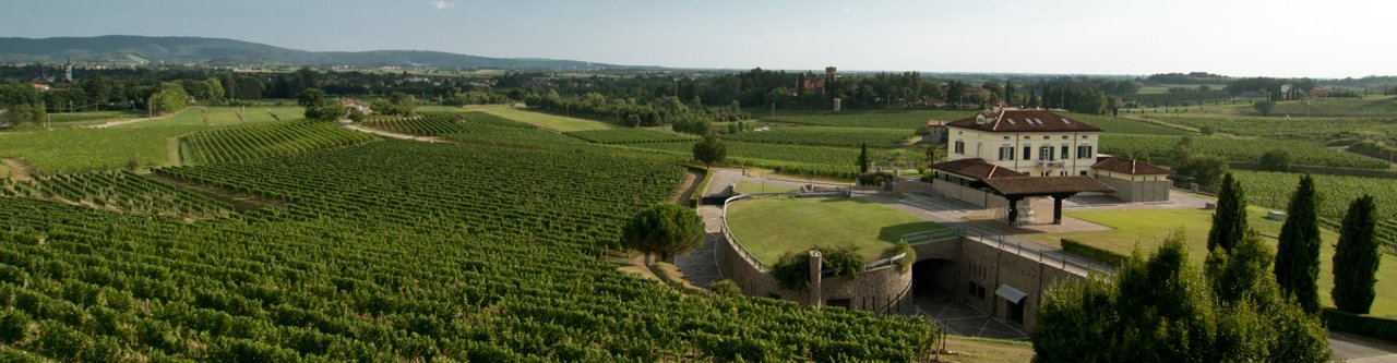 Azienda Agricola Schiopetto winery image 1