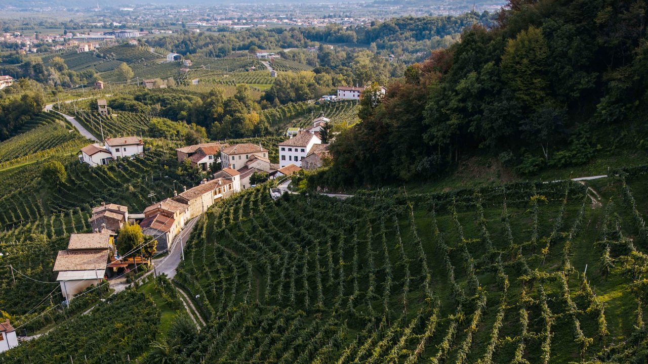 Terraced vineyards and farmhouses on the Cartizze hill above Valdobbiadene, seen from above