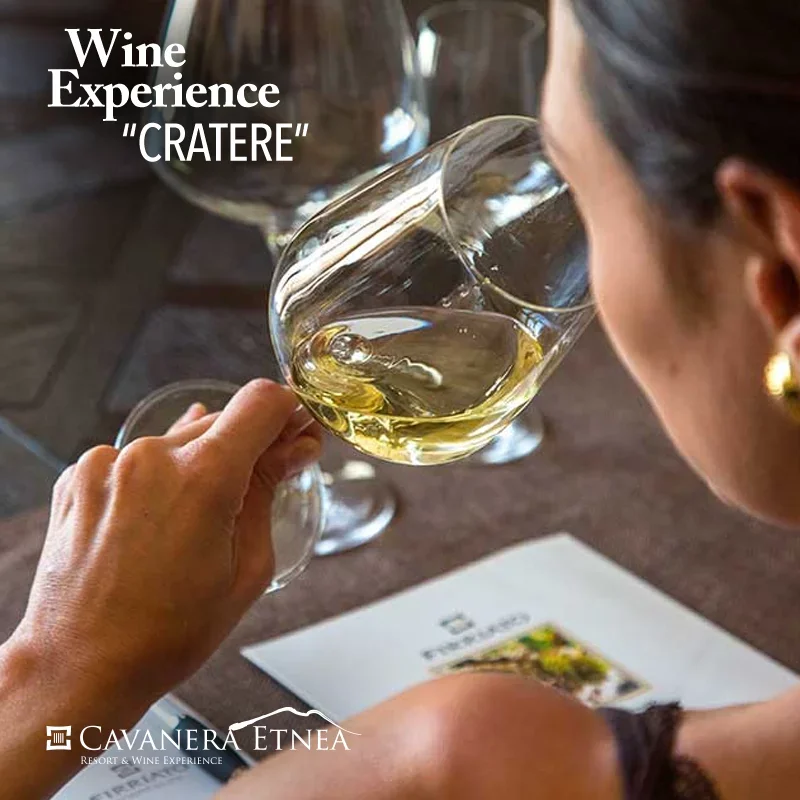 Cratere Wine experience at Firriato Winery at Casa Vinicola Firriato