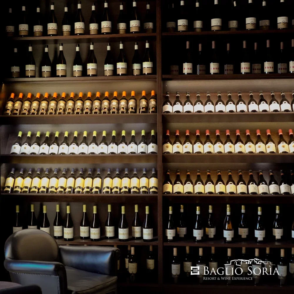 Scirocco wine & light lunch experience at Baglio Soria at Casa Vinicola Firriato