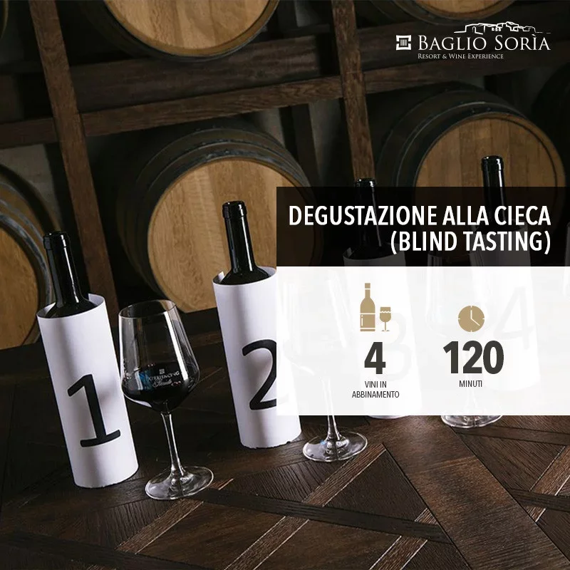 Blind Tasting Game at Baglio Soria at Casa Vinicola Firriato