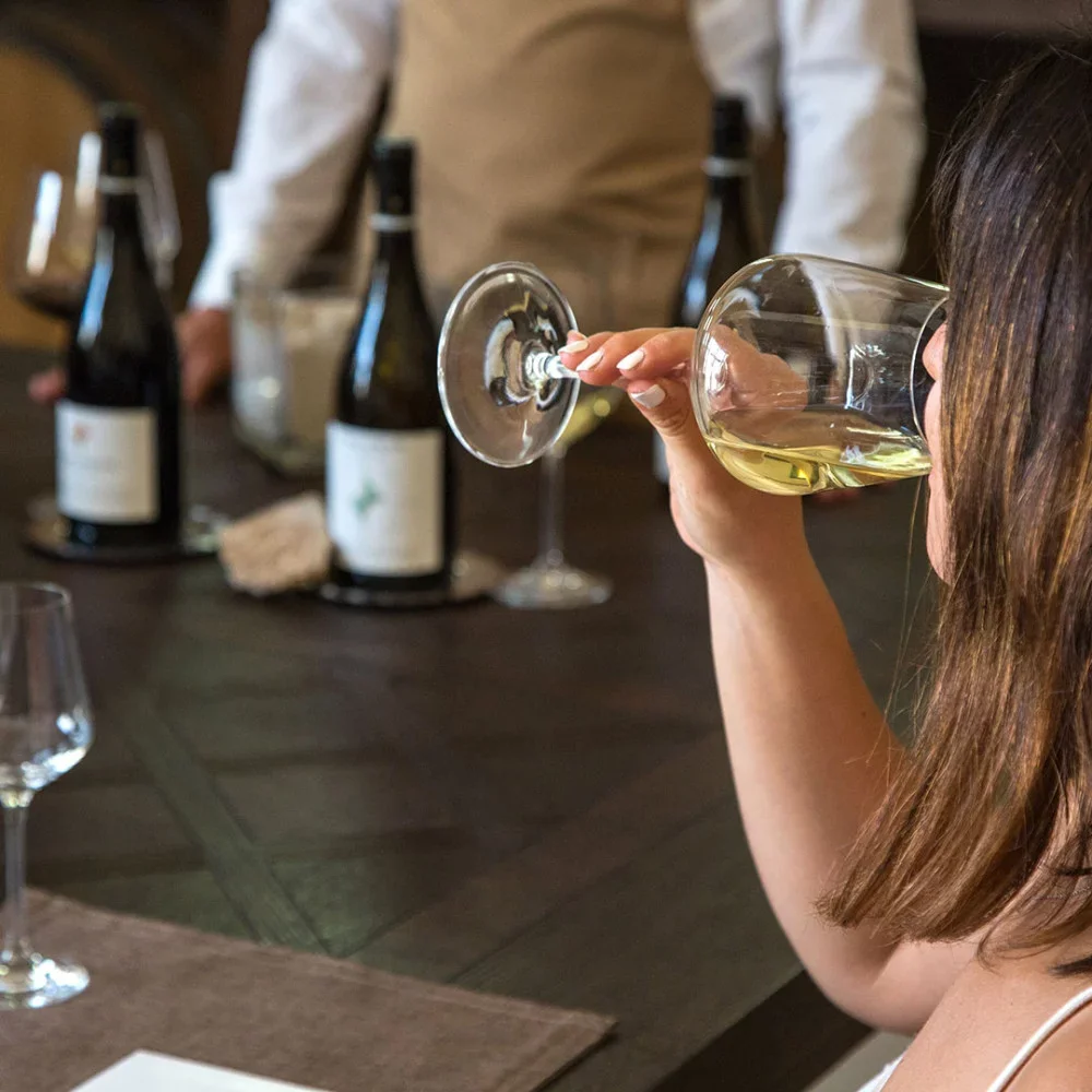 Taste the wines of Etna Volcano at Baglio Soria at Casa Vinicola Firriato