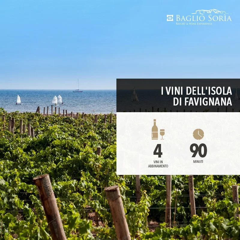 Taste the Wines of Favignana at Baglio Soria at Casa Vinicola Firriato