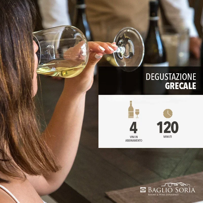 Grecale wine experience at Baglio Soria at Casa Vinicola Firriato
