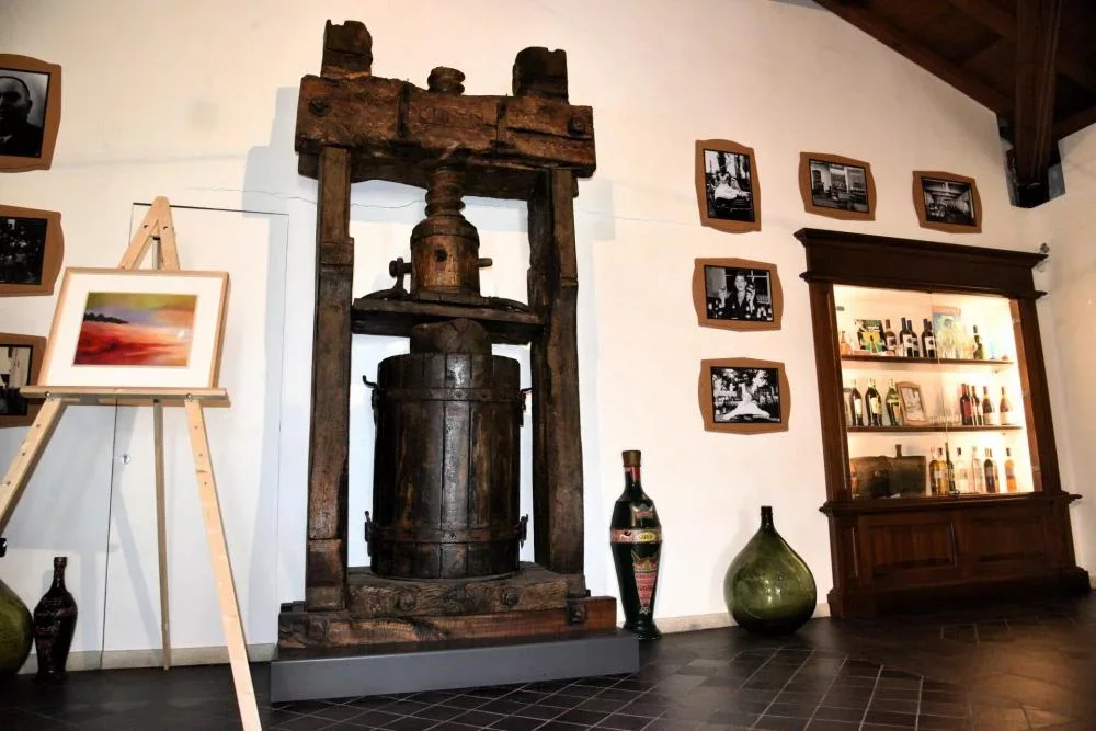 Discover Le Marche - Tour and Wine Tasting at Garofoli at Casa Vinicola Garofoli