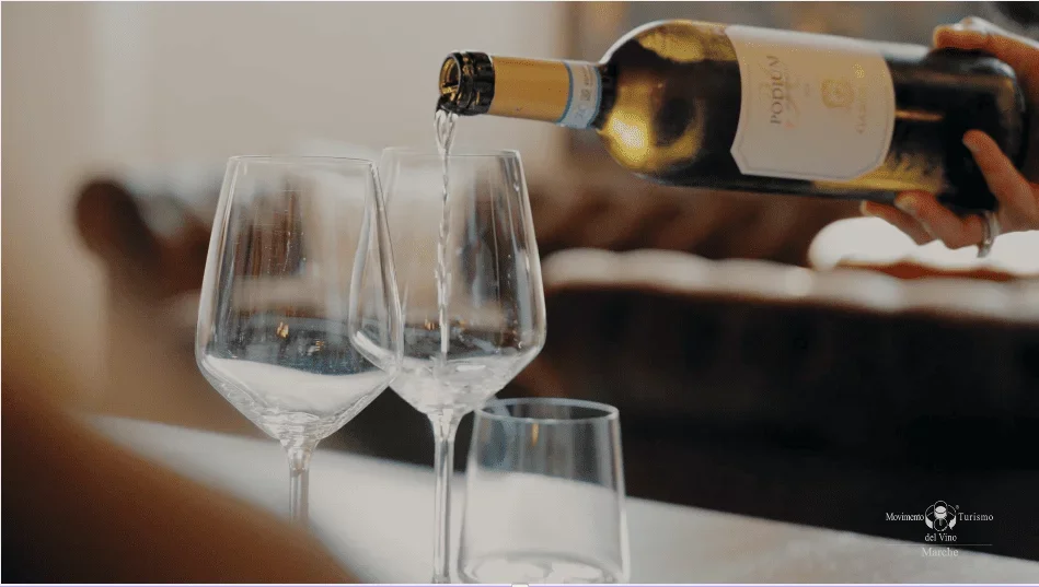 Garofoli - The Icons Tour and Wine Tasting at Casa Vinicola Garofoli