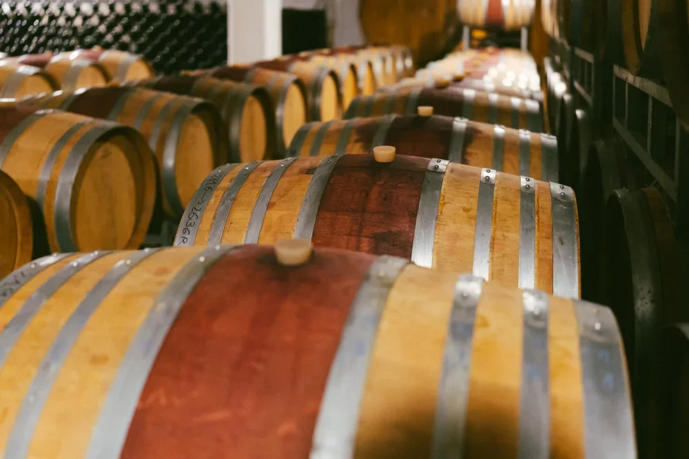Garofoli - Linfa Tour and Wine Tasting at Casa Vinicola Garofoli