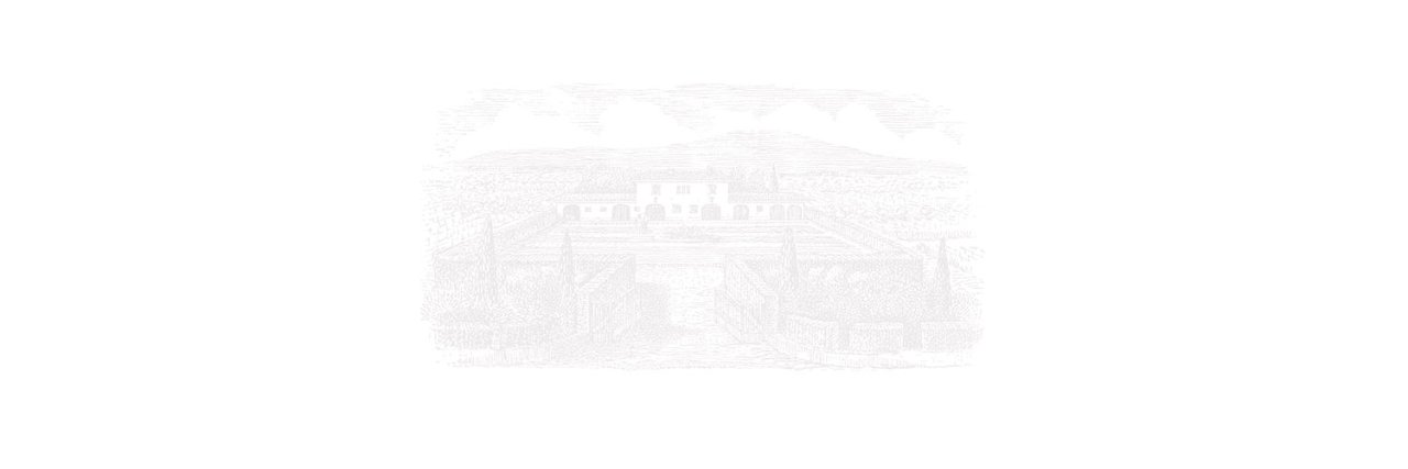 Azienda Agricola Casale del Giglio winery image 5