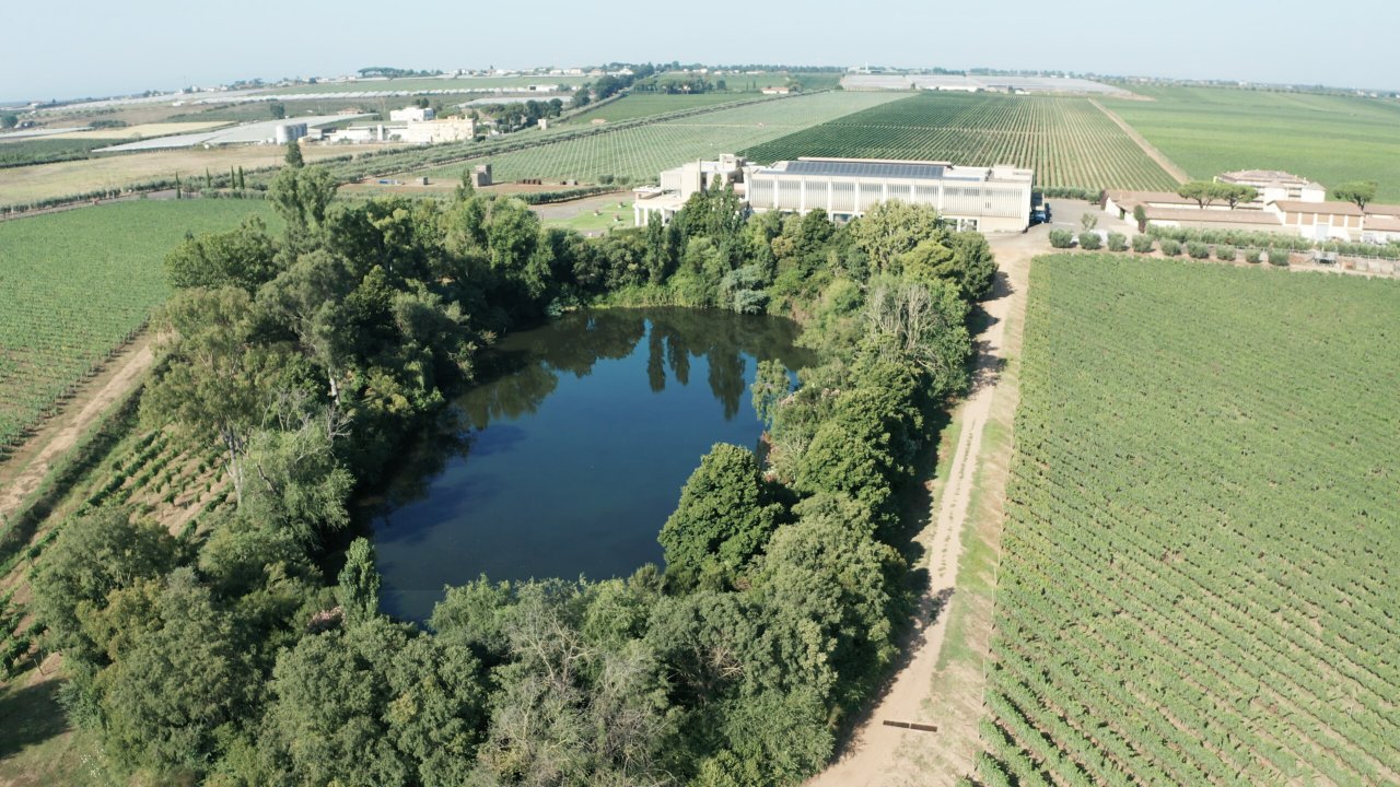 Azienda Agricola Casale del Giglio winery image 2
