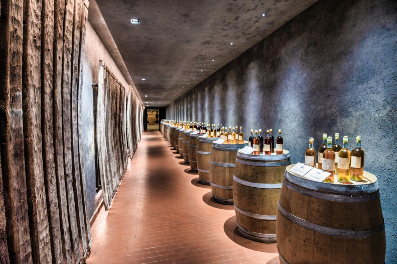 Azienda Agricola Casale del Giglio winery image 1