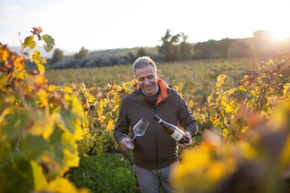 Wine tasting discovery at Casale Mattia in Montecompatri at Casale Mattia