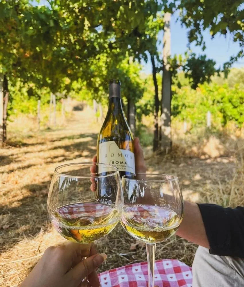 Aperitif at Sunset Among the Vineyards at Casale Mattia at Casale Mattia