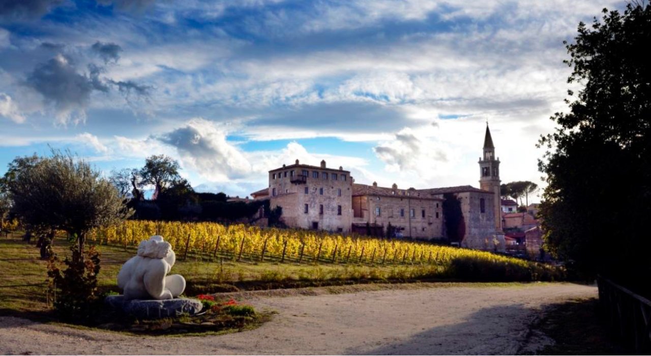Azienda Agricola Masciarelli winery image 2
