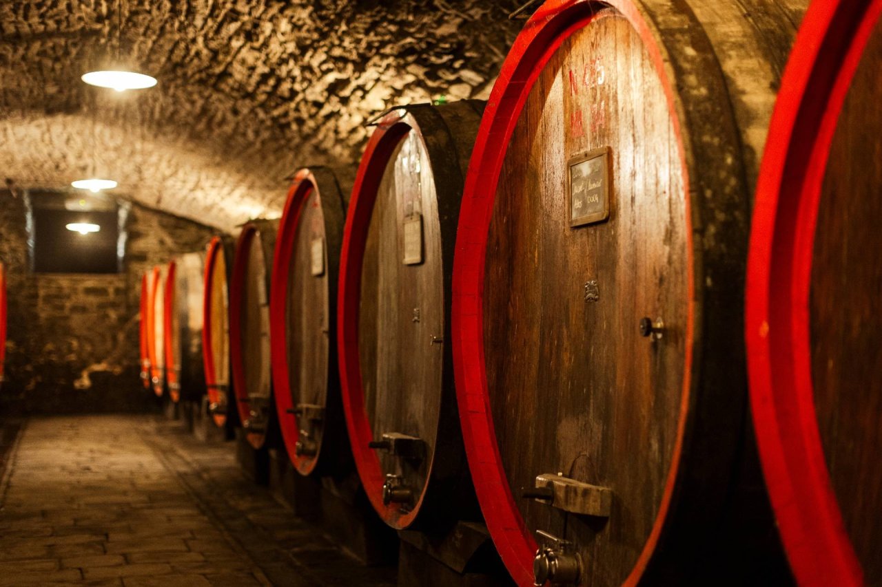 Premium Tour and Tasting at Castello di Albola